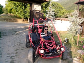 Private buggy vineyards tour